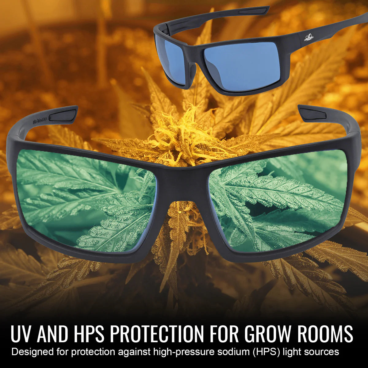 Bullhead Sawfish Safety Glasses-Safety Glasses USA-9